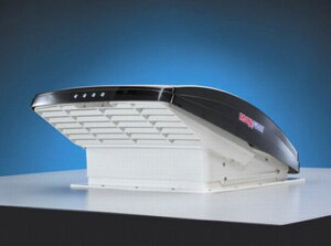 MAXX-FANy}bNXt@yX[Nz/RfyJ/356×356mmz蓮J^Cv㕥sKԗOɍ쓮mF肢܂!!