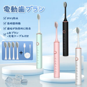 家電 電動歯ぶらし」の人気商品一覧・価格比較 - 価格.com