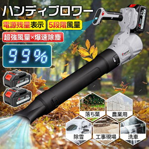 �u�����[ ��� �[�d���u�����[ ������ �W�F�b�g�h���C�u�����[ �d���G�A�_�X�^�[ �R�[�h���X �u���A�[ �y�� �G�A�_�X�^�[ ���{���^�[�{�W�F�b�g�t�@�� 130m/s 300000rpm ������] �o�b�e�����