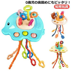 Pbg 邨 vbV|bv j̎q Ԃ  F mߋ wg[jO wP m炨 vXgO xr[  eb\[ 炨  