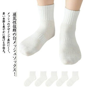 qC  t _炩 ėp ̎q j̎q qC X|[c JWA\bNX LbY\bNX w Lk Ȃ z XN[\bNX  c 5Zbg ʊwp 