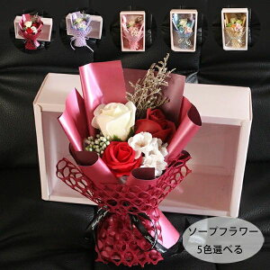 \[vt[ ̓ ԑ \[vt[  J[l[V o t[AWg v[g Vv[t[ {bNX ͂Ȃ  a j oYj j C