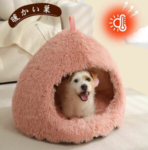 ybgxbh LbgnEX h[^ g ybgpQ LbgnEX h[^ g ӂӂ xe ~p 薰 ΍  ^ Lbg ybg p