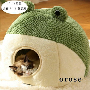 ybgpi  ybgxbh pxbh Lpxbg ӂӂ JG ybgnEX h[^  LnEX H~ Vi 薰 ybg NbV Lxbh 􂦂  