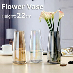 k ACCYh NX^NAKXԕr ֑}  z[ItBX̑ t[x[X 22cm Vv i  Ԋ  rO Qp CeA G  