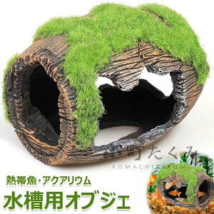 CAEgpi  ^ Q Mы p ۂނCM a R xe ANAEfR[V  ؕ B _J u ANZT[  