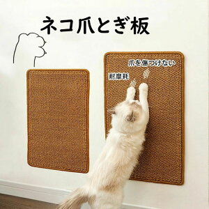 LpXNb`[}bg ܐ؂sv̒܂Ƃ{[h Lp܂Ƃ}bg L߂Ƃh~ ~E܌Eh~ A\t@AƋAǂ̕ی ܌ Lpi L̂ ͑TC