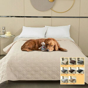 j ~ ˂V[c ʋC Lp xbhXvbh p ~pbh  􂦂 􂦂 V[g V hoJo[ xr[ \t@[Jo[ hV[c V[g yb