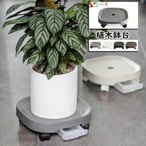 u  LX^[t v^[X^h 󂯎Mt ϗtAp Aؔ AؔX^h |bN t[X^h  ړ ۂ` AؔuPbg   O