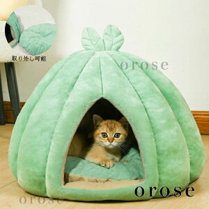 Ck  Lxbh ΍ ybgObY  Lpxbg ϋv h[^ lR Vя 􂦂 ^ xe  킢 O[ ybgpi H~ pxbh ~p g 