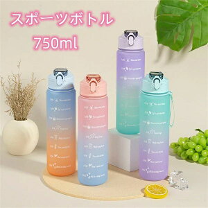 ̎q e  X|[c{g ڐt LbY q ϔM l ʊwʋ  vX`bN Rh~  750ml Of[V 킢 Mtg EH[^[{g X|[c y