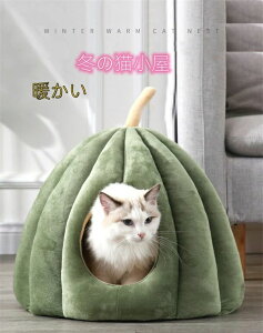 h[^ ~p xe Lbg lC ^ ۉh L p  Lpxbh p xbh _炩  ybgpQ QNbVt ~ 