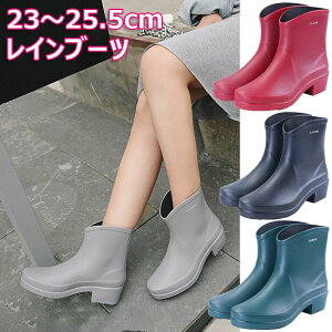 24 V[g fB[X GWjA JC 23  C y CV[Y }bgȎ [q[ ₷ ʋ 25cm h h ʊw S4F  TChSA Sh y RtH