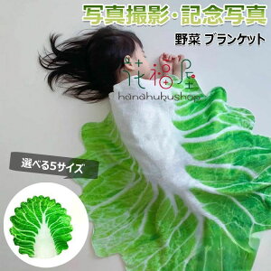 ،^ Q P[v V uPbg 蕨  ~ 킢 xr[^I XCJ  xr[ H Ԃ 傫TCY  ѕz IW oYj Mtg 120