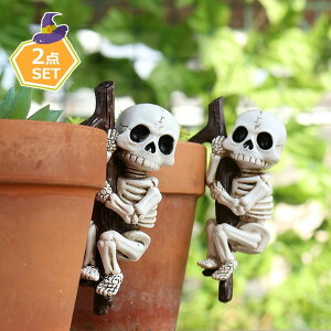 A CeAG  XJI[ig   nEBp[eB[ 2_Zbg KCRc nEB 鐓 ~j`AtBMA fR[V K[fI[i