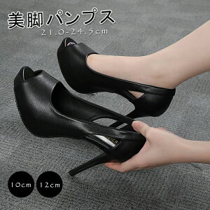 12cmq[ nCq[ pvX vbgtH[ pumps ʋΗp TCY p[eB[ I[vgD Ӊ  I[vgD d C sq[ p[eB Xg[ 2  l L