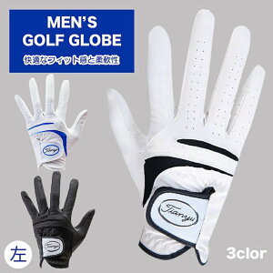  SV ejX Y Xgb` ʋC tBbg Ȃ hCu  j TCNO nCLO lHv StEFA ő ] O[u  3J[×5TCY O