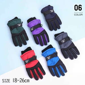  ĂԂ O[u j̎q ̎q WjA XL[ O[u LbY   Xm[O[u XL[ Xm[{[h q