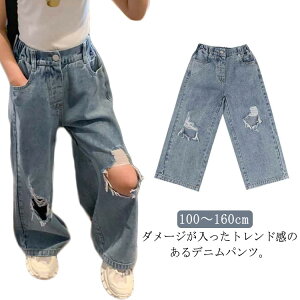 {gX W[p ʉ W[Y 100 fj fjpc ̎q LbY 130 _X ʊw _[W 140 ؍ Chpc  Opc ߑ EGXgS 110 Y{ Opc