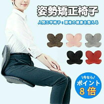 楽天市場】ボディメイクシート スタイル（ダイエット・健康）の通販