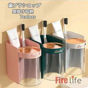 ���u���V���� �h�o�q�� ���C�h�~ �X�^���h ���������f�B�X�y���T�[ �͂Ԃ炵���� �J�b�v ���ʏ� �Ǌ|�� �������� �R�b�v�X�^���h ������� ���u���V�R�b�v 2�Z�b�g ���u���V�X�^���h �z��