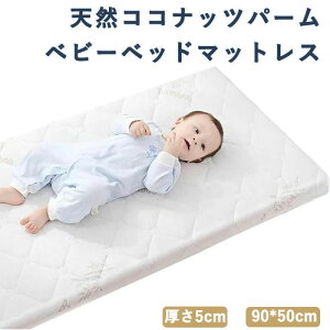 �x�r�[�}�b�g���X �V�R�R�R�i�b�c�p�[�� �~���z�c �V���� �x�r�[�z�c �ۈ牀 �q���p ����5cm ���P? �c�t�� �x�r�[�x�b�h �w�Z ���O���􂦂� �ʋC�� �R�� �h�_�j �d�� �����T�|�[�g ���T�|�[