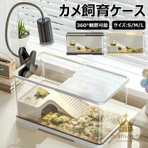 楽天市場】リクガメ飼育セットの通販