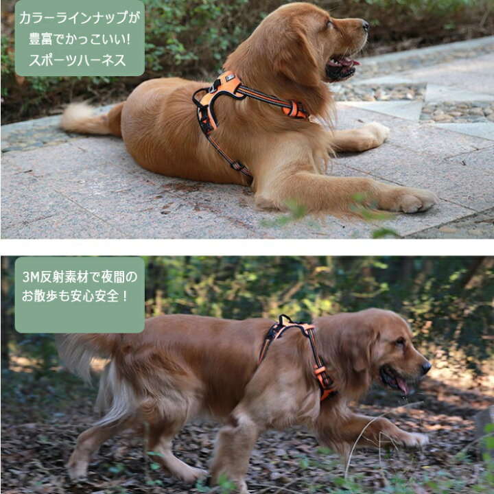 楽天市場 犬 首輪 ハーネス 犬用 胴輪 中型犬 大型犬 可愛い 犬 ハーネスベルト ハーネスリード 安全帯 抜けにくい 抜けない 高品質 おしゃれ 引っ張り防止 介護 超大型犬 引っ張り 送料無料 スポーティー シニア犬 ハンドルハーネス 簡単装着 取付簡単 オシャレ