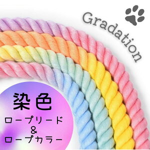 犬 首輪 おしゃれ リード セット 軽量 犬用 かわいい チョーカー 中型犬 大型犬 リードセット お散歩 丈夫 安全 カラー 犬 リード ロープ ロープリード 散歩 軽い 犬用リード 持ちやすい おで