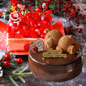 NX}XP[L Zbg 2025 \  Iׂ 2iZbg V[gP[L C`S   Ubnge  aI u ʉʂ̌b `[YP[L NX}X P[L fU[g t