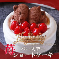 ポイント5倍 誕生日ケーキ 送料無料 バースデーケーキ 4号 (2~4人) 5号 (4～6人) いちご ショートケーキ …