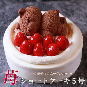 䕃V[gP[L  4 12cm ( 2l `4l) 5 15cm ( 4l `6l) V[gP[L C`S P[L    P[L t[cP[L `R[X `R Mtg XC[c v[g q