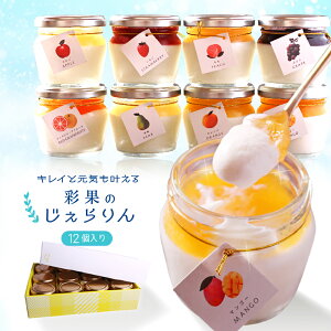 スイーツ アイス ギフト 高級 おしゃれ 誕生日プレゼント 彩果の恵み ジェラート フルーツ アイスクリーム ギフト 詰め合わせ 6個8個12個 お取り寄せ スイーツ 内祝い 出産祝い お返し お見舞