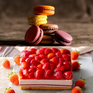 󂠂 }J 20lߍ킹 + Iׂ aIu u P[L ʉʂ̌b `[YP[L t[c 䕃^g  Z Ղ eB~X  p p   X