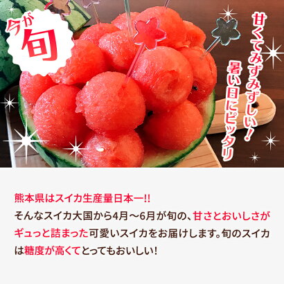 すいか小玉2玉熊本県スイカ王国熊本県産小玉スイカ2玉送料無料
