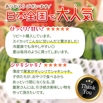 すいか小玉2玉熊本県スイカ王国熊本県産小玉スイカ2玉送料無料