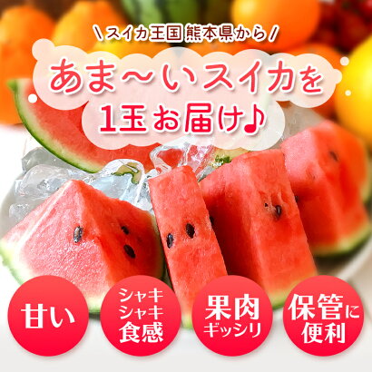 すいか小玉2玉熊本県スイカ王国熊本県産小玉スイカ2玉送料無料