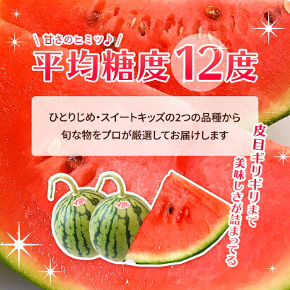 すいか小玉2玉熊本県スイカ王国熊本県産小玉スイカ2玉送料無料