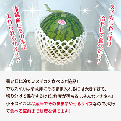 スイカ小玉2玉熊本スイカ王国熊本県産小玉スイカ2玉送料無料