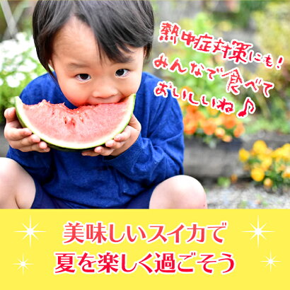 スイカ小玉1玉熊本スイカ王国熊本県産小玉スイカ1玉送料無料