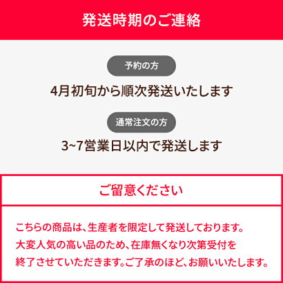 スイカ小玉1玉熊本スイカ王国熊本県産小玉スイカ1玉送料無料