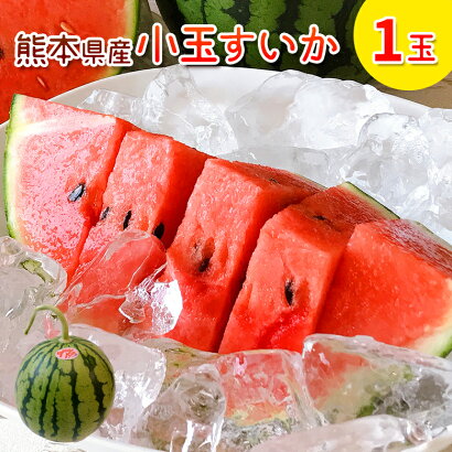 すいか小玉2玉熊本県スイカ王国熊本県産小玉スイカ2玉送料無料