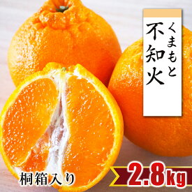 【先行予約・2027年2月中旬より順次発送】（贈答用・くまもん桐箱入り）不知火 約2.8kg