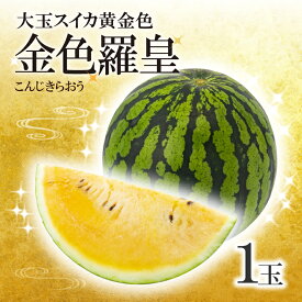 【30玉限定完全予約販売（6月発送予定）】希少！ 大玉スイカ 黄金色 金色羅皇 1玉 7kg以上 すいか スイカ 果物 フルーツ 大玉 国産 熊本県 和水町 西瓜 大玉くまもと 熊本県 送料無料