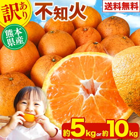 【先行予約・2027年2月中旬より順次発送】くまもと 不知火 5kg or 10kg 九州 熊本 お徳用 フルーツ 果物 みかん 訳あり 送料無料