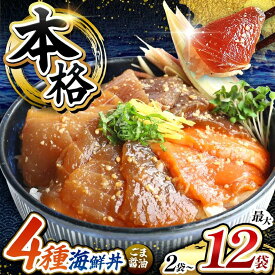 【最安値挑戦！】 本格！ 海鮮丼 ごま醤油 まぐろ サーモン ブリ カツオ 選べる 種類 内容量 | 熊本県 くまもと 魚 海鮮 肥後 海鮮丼 スライス 冷凍 漬け さかな 漬け丼 小分け 数量限定 人気 熊本県 人気 海産物 水産加工 鮪
