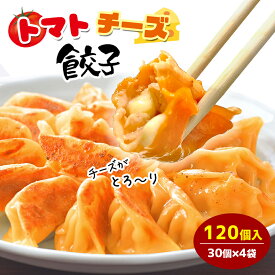 限定商品 トマトチーズ餃子 120個入り 送料無料 タレなし餃子 焼餃子 餃子 冷凍食品 トマト チーズ 中華 グルメ 簡単 中華料理 おかず 訳あり 家庭用 新商品 オリジナル 食品 ギョウザ ぎょうざ お取り寄せ チーズ 国産 人気 黒豚 お試し 大人気 ギフト 贈り物