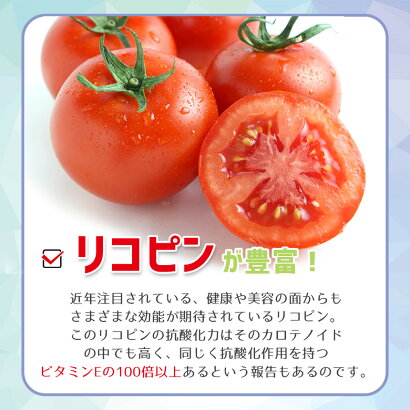 【ご家庭用】トマトチーズ餃子100個入り送料無料タレなし餃子焼餃子