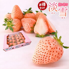【 先行予約 】白いちご いちご 苺 淡雪 あわゆき 約250g×2P 《数量限定！》白いいちご 白いイチゴ 白い苺 お歳暮 ギフト 贈り物 贈答用 プレゼント 出産祝い バレンタイン 冬の果物 おやつ フルーツ 熊本 ストロベリー 人気 希少 高級品 送料無料