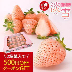 ys\z   W 䂫 250g×2P sʌIt C`S  Ε Mtg 蕨 p v[g oYj o^C ~̉ʕ  